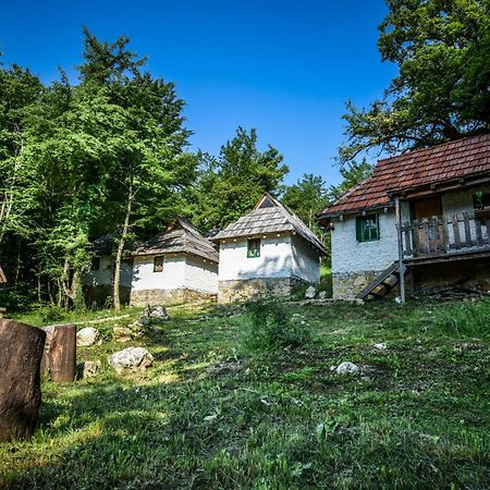 Camp Divlja Rijeka Hotell Hum Eksteriør bilde