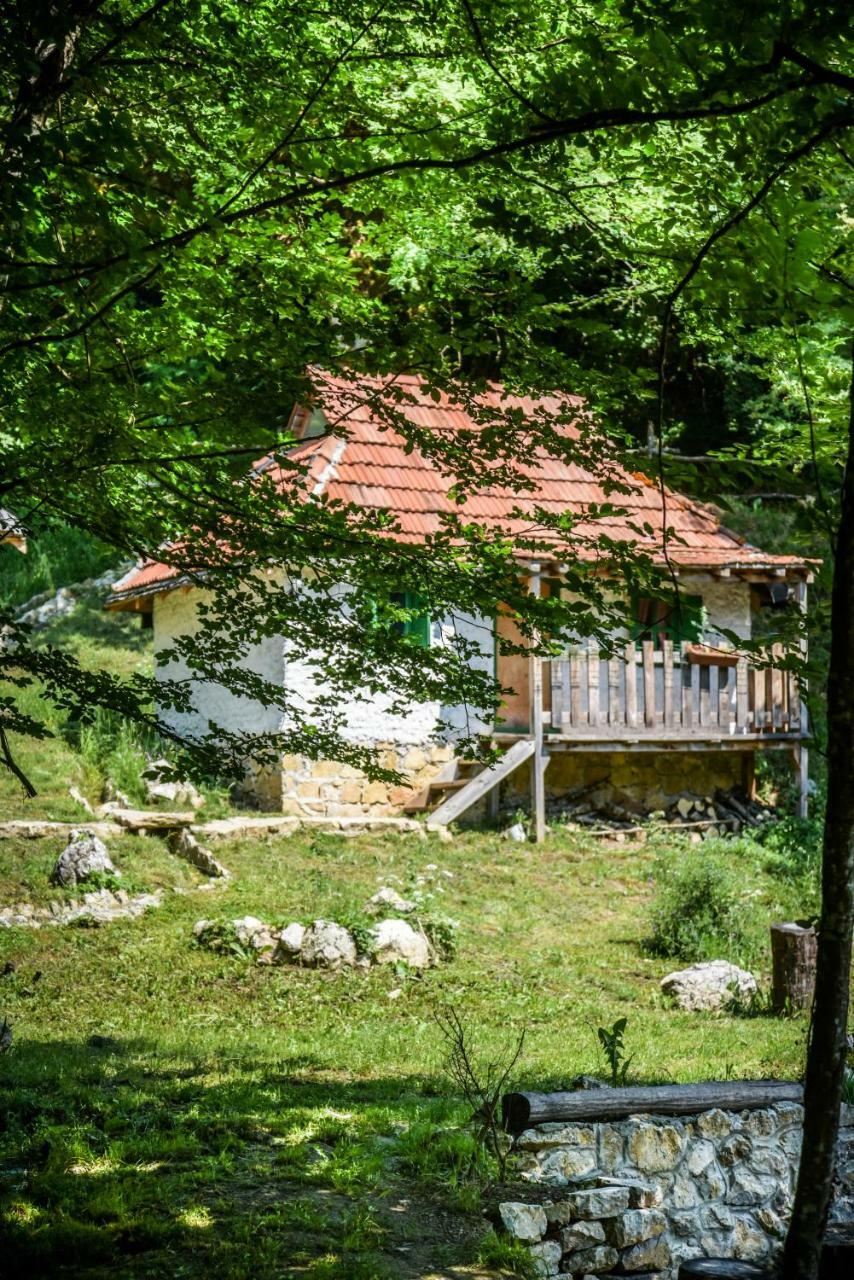 Camp Divlja Rijeka Hotell Hum Eksteriør bilde